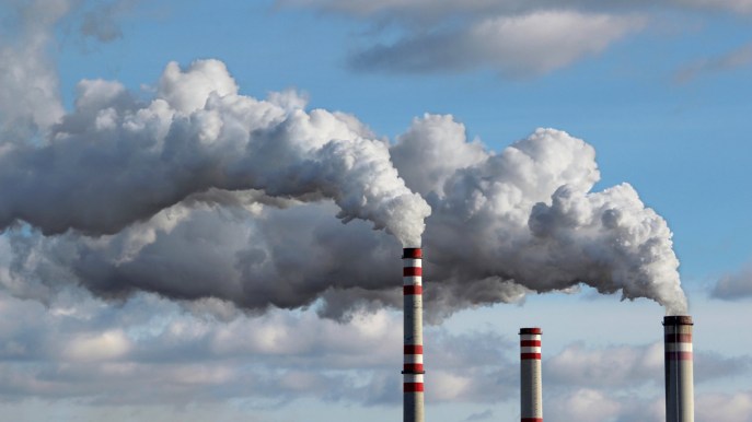 Quasi tutta la terra è ormai una camera a gas