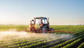 Conosci il glifosato? Ecco perché è importante sapere cos’è