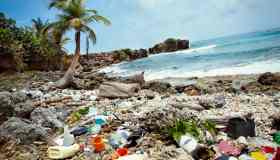 Giornata Mondiale dell’Ambiente, gesti semplici per salvare la Terra