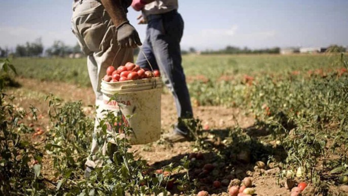 Condono del lavoro in nero: quanto costa la sanatoria