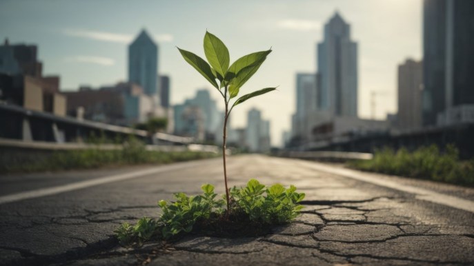 Cos’è e cosa significa sostenibilità ambientale