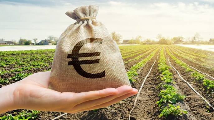 Come affittare un terreno agricolo e che contratto fare