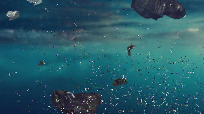Microplastiche, cosa sono e quali conseguenze hanno sull’ambiente e sulla salute