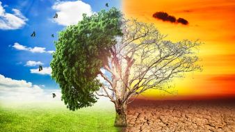 A che punto siamo con la transizione ecologica in Italia