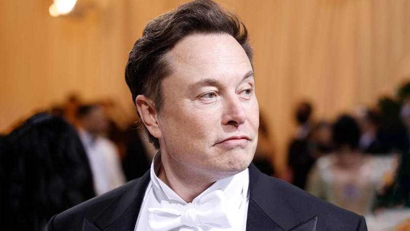 Elon Musk incontra in segreto il Papa: di cosa hanno parlato