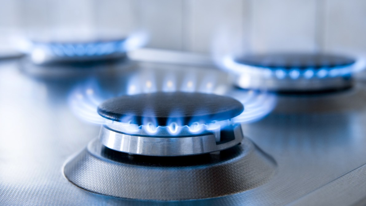Gas, il piano per risparmiare in inverno
