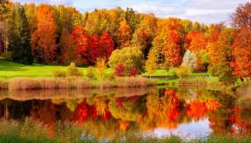 Giornata degli alberi: grazie al Pnrr arrivano in Italia 6,6 mln di nuove piante