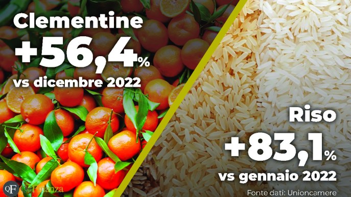 Aumento dei prezzi dei prodotti alimentari, i rincari di gennaio 2023