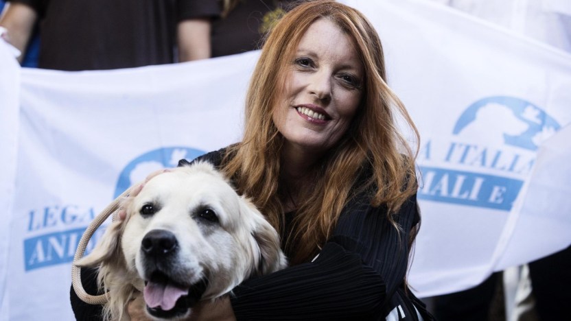 Carcere per chi abbandona gli animali: la proposta