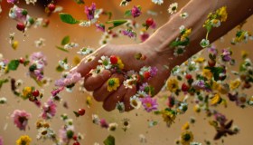 La Natura al centro. La storia di Bonomelli, una storia italiana