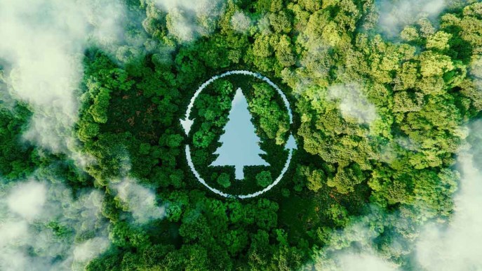 “I progetti di riforestazione delle grandi aziende non sono reali”