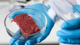 Carne sintetica vietata in Italia: a quali rischi andiamo ora incontro