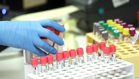 Maiali geneticamente modificati presto in tavola, sono resistenti a un virus suino