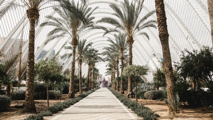 Città sostenibili, Valencia capitale verde 2024: “il faro” delle politiche green in Europa