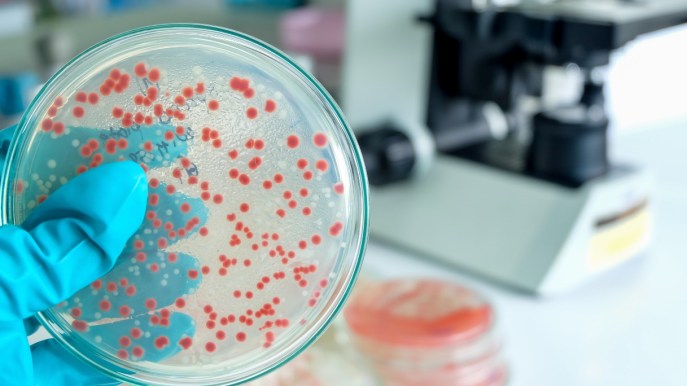 Streptococco a Milano, 6 morti e 5 pazienti in intensiva: come si trasmette e sintomi