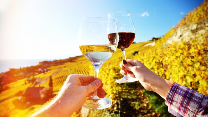 Enoturismo, tra esperienze, natura e qualità il comparto si rafforza nel 2024