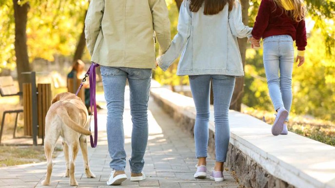 Qualità della vita, le province in cui si vive meglio per fasce d’età: la classifica per bambini, giovani e anziani