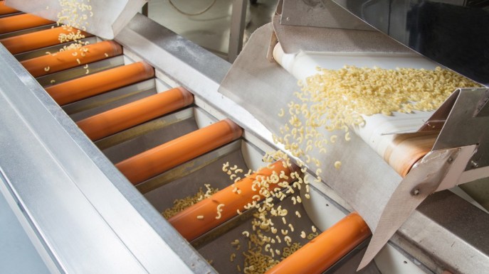 Grano duro, produzione in Italia a quota -15%: si temono aumenti su pasta e pane