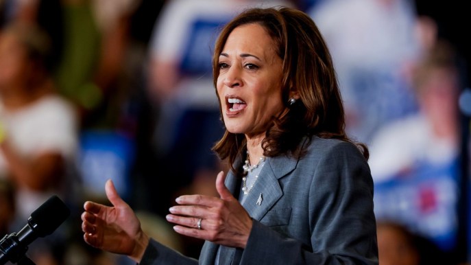 Kamala Harris fa il pieno di donazioni dopo il ritiro di Biden, raccolti 46 milioni di dollari