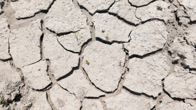 Siccità in Sicilia, danni per 2 miliardi e rischio desertificazione: dove l’acqua è razionata