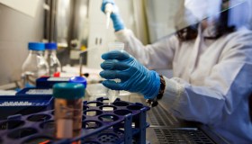 Vaiolo delle scimmie, nuova emergenza sanitaria mondiale: la situazione in Italia
