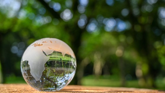 Le Cop sul clima più importanti della storia, da Berlino a Baku