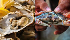 Ostriche contro il granchio blu, un business da 60 milioni