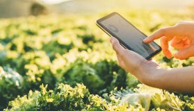 Conviene vendere crediti di carbonio? I guadagni del carbon farming