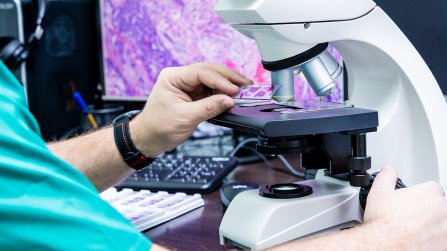 I vantaggi della CLEM, microscopia ottica ed elettronica insieme